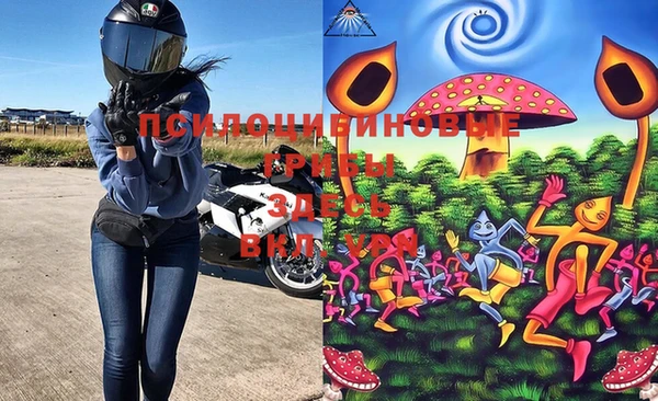 крисы Весьегонск
