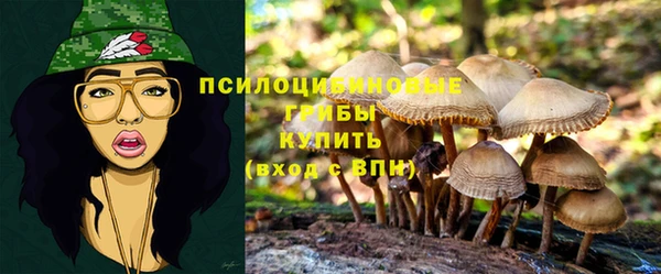 стафф Переславль-Залесский