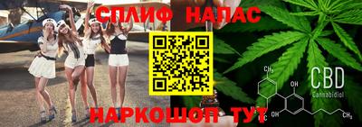 прущие грибы Кинель